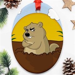 Groundhog Day Oval Ornament (two Sides) by Valentinaart