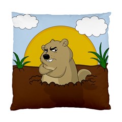 Groundhog Day Standard Cushion Case (one Side) by Valentinaart