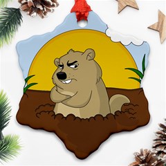 Groundhog Day Ornament (snowflake) by Valentinaart