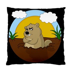 Groundhog Day Standard Cushion Case (one Side) by Valentinaart