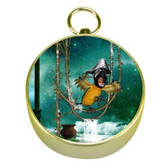 Funny Pirate Parrot With Hat Gold Compasses by FantasyWorld7