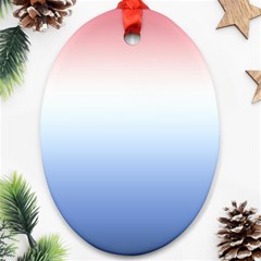 Red And Blue Oval Ornament (two Sides)