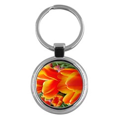 20180115 144714 Hdr Key Chains (round)  by AmateurPhotographyDesigns