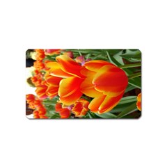 20180115 144714 Hdr Magnet (name Card) by AmateurPhotographyDesigns