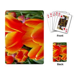 20180115 144714 Hdr Playing Card by AmateurPhotographyDesigns