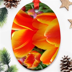 20180115 144714 Hdr Oval Ornament (two Sides) by AmateurPhotographyDesigns