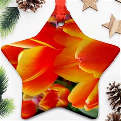 20180115 144714 Hdr Ornament (star) by AmateurPhotographyDesigns