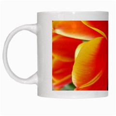 20180115 144714 Hdr White Mugs by AmateurPhotographyDesigns