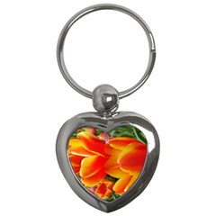 20180115 144714 Hdr Key Chains (heart)  by AmateurPhotographyDesigns