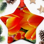 20180115 144714 Hdr Star Ornament (Two Sides) Front