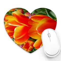 20180115 144714 Hdr Heart Mousepads by AmateurPhotographyDesigns