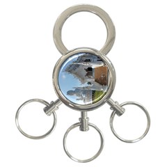 20180115 125817 Hdr 3-ring Key Chains by AmateurPhotographyDesigns