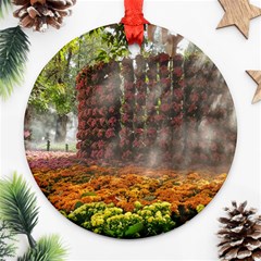 20180115 144003 Hdr Ornament (round) by AmateurPhotographyDesigns