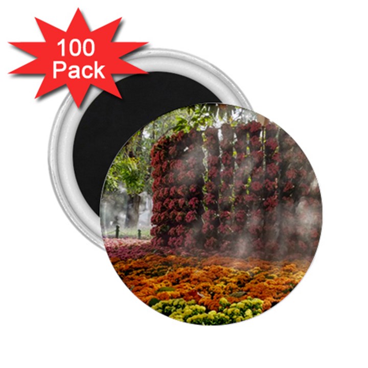 20180115 144003 Hdr 2.25  Magnets (100 pack) 