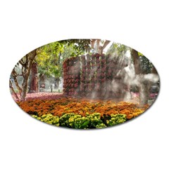 20180115 144003 Hdr Oval Magnet by AmateurPhotographyDesigns