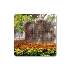 20180115 144003 Hdr Square Magnet by AmateurPhotographyDesigns