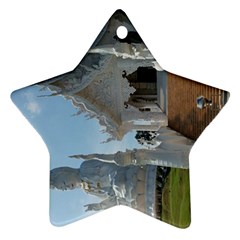 20180115 125817 Hdr Star Ornament (two Sides) by AmateurPhotographyDesigns