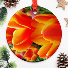 20180115 144714 Hdr Ornament (round) by AmateurPhotographyDesigns