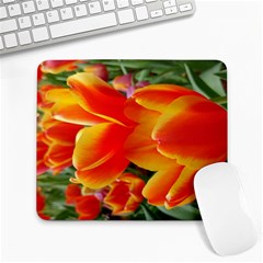 20180115 144714 Hdr Large Mousepads by AmateurPhotographyDesigns