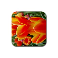 20180115 144714 Hdr Rubber Square Coaster (4 Pack)  by AmateurPhotographyDesigns