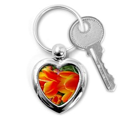 20180115 144714 Hdr Key Chains (heart)  by AmateurPhotographyDesigns