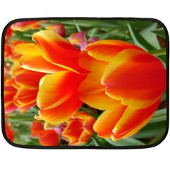 20180115 144714 Hdr Double Sided Fleece Blanket (mini)  by AmateurPhotographyDesigns