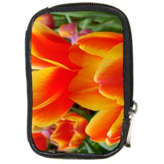 20180115 144714 Hdr Compact Camera Cases by AmateurPhotographyDesigns