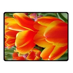 20180115 144714 Hdr Fleece Blanket (small) by AmateurPhotographyDesigns