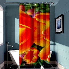 20180115 144714 Hdr Shower Curtain 36  X 72  (stall)  by AmateurPhotographyDesigns