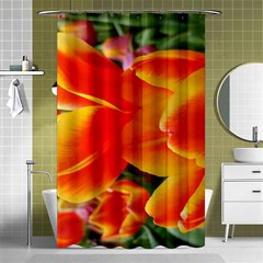 20180115 144714 Hdr Shower Curtain 48  X 72  (small)  by AmateurPhotographyDesigns