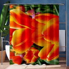 20180115 144714 Hdr Shower Curtain 60  X 72  (medium)  by AmateurPhotographyDesigns