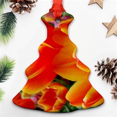 20180115 144714 Hdr Christmas Tree Ornament (two Sides)