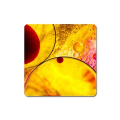 Abstract Water Oil Macro Square Magnet by Nexatart