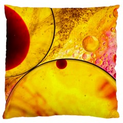 Abstract Water Oil Macro Standard Flano Cushion Case (one Side) by Nexatart