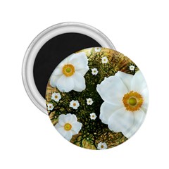 Summer Anemone Sylvestris 2 25  Magnets by Nexatart