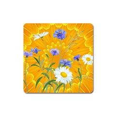 Flowers Daisy Floral Yellow Blue Square Magnet by Nexatart