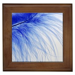 Feather Blue Colored Framed Tiles by Nexatart