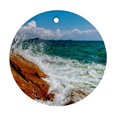 20180121 104340 Hdr 2 Ornament (round) by AmateurPhotographyDesigns