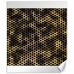 Honeycomb Beehive Nature Canvas 8  X 10  by Nexatart