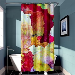 Art Detail Abstract Painting Wax Shower Curtain 36  X 72  (stall)  by Nexatart