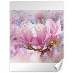 Flowers Magnolia Art Abstract Canvas 36  X 48   by Nexatart