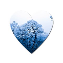 Nature Inspiration Trees Blue Heart Magnet by Nexatart