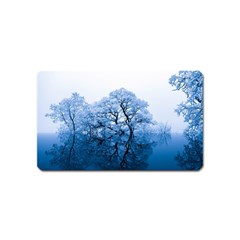 Nature Inspiration Trees Blue Magnet (name Card) by Nexatart