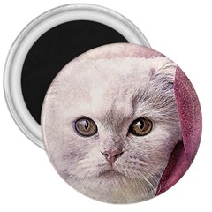 Cat Pet Cute Art Abstract Vintage 3  Magnets by Nexatart