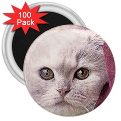 Cat Pet Cute Art Abstract Vintage 3  Magnets (100 Pack) by Nexatart