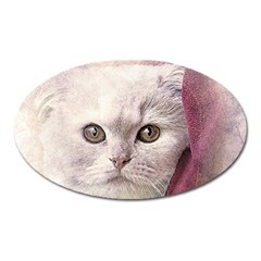 Cat Pet Cute Art Abstract Vintage Oval Magnet by Nexatart