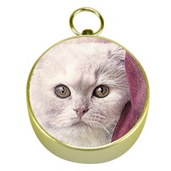 Cat Pet Cute Art Abstract Vintage Gold Compasses