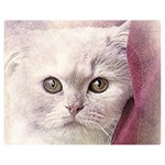 Cat Pet Cute Art Abstract Vintage Double Sided Flano Blanket (Medium)  60 x50  Blanket Front