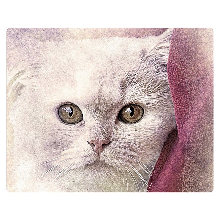 Cat Pet Cute Art Abstract Vintage Double Sided Flano Blanket (Medium) 