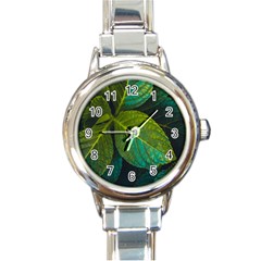 Green Plant Leaf Foliage Nature Round Italian Charm Watch by Nexatart